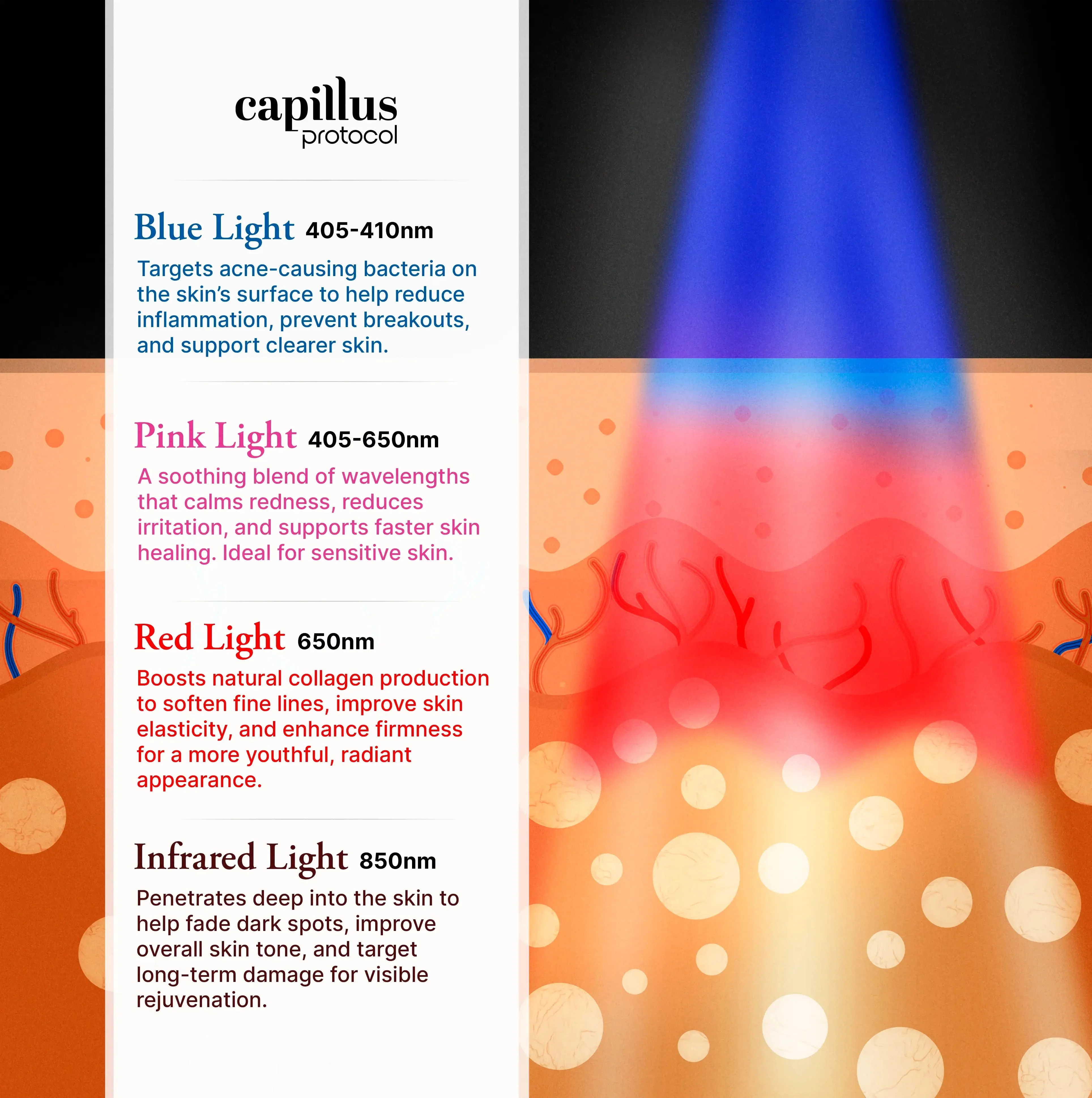 Capillus Red Light Therapy Panel - Image 10